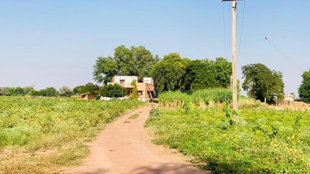 Ananya Farms Paradise Jodhpur  Bagian luar foto