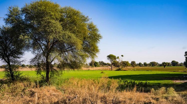 Ananya Farms Paradise Jodhpur  Bagian luar foto