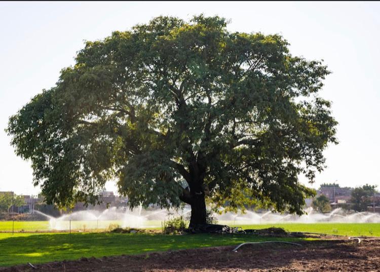 Ananya Farms Paradise Jodhpur  Bagian luar foto