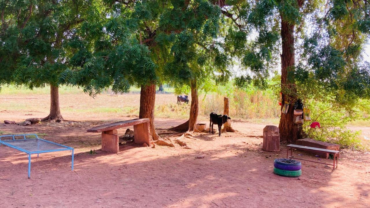 Ananya Farms Paradise Jodhpur  Bagian luar foto